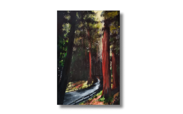 Whispers of the Redwoods