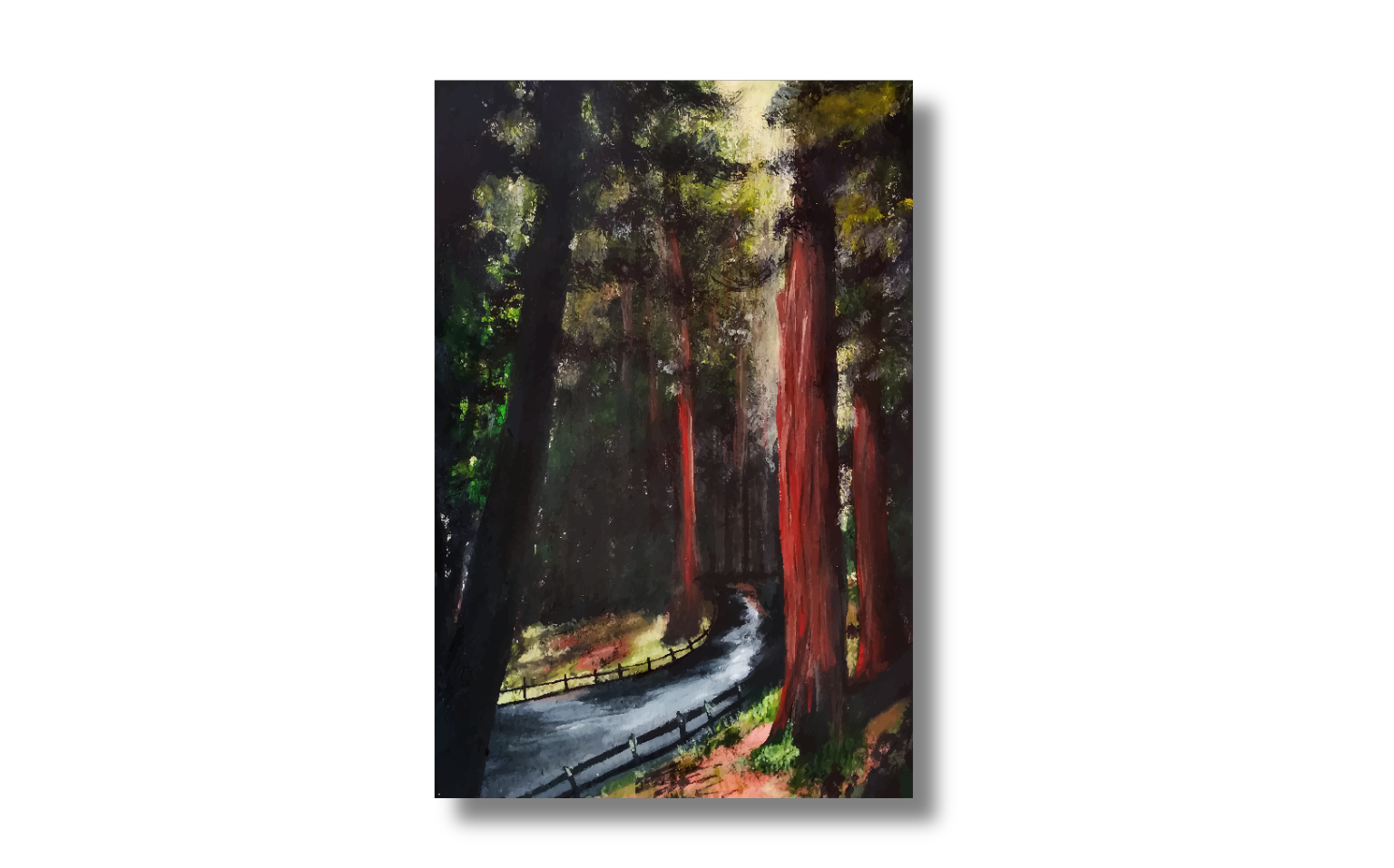 Whispers of the Redwoods